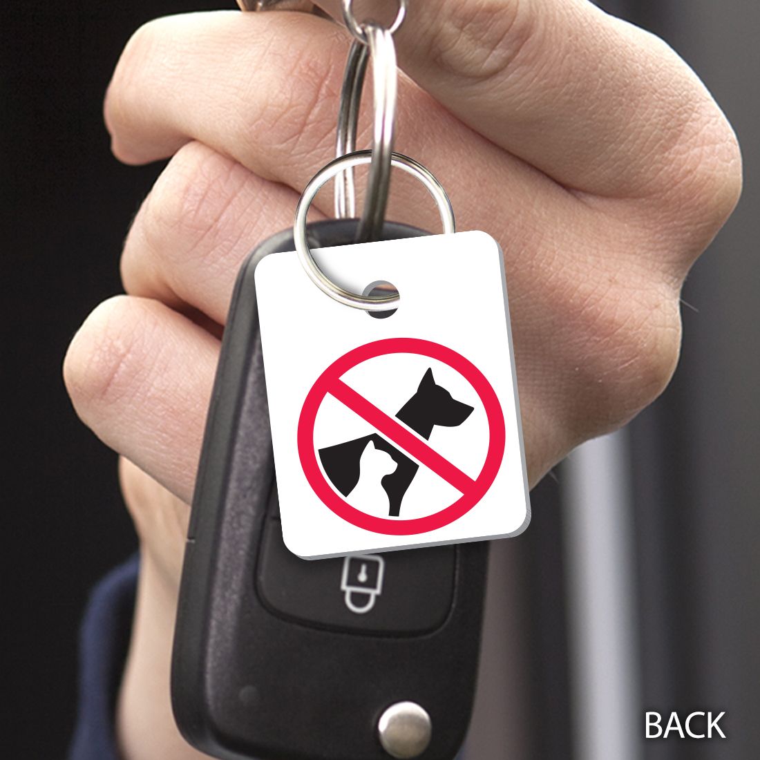 No Pets No Smoking Key Tags