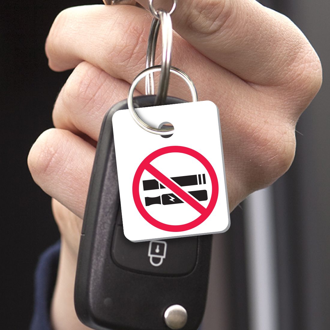 No Pets No Smoking Key Tags